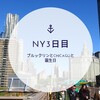 【NY3日目】ブルックリン橋〜ブルックリン植物園〜ブルックリン散策〜CHICAGO観劇〜junior'sのチーズケーキ