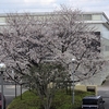 3月27日  お世話になりました。