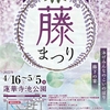 浜ちゃん日記　　磐田市の熊野長フジと藤枝市の蓮華寺池公園の藤祭り