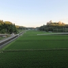 今週の三田・里山キャンパス（485）：水田の夕景