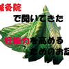 鍼灸院で聞いてきた妊娠力を高める４つの方法