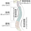 真っ直ぐ立つ、の意味。