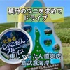 積丹のウニを求めてドライブの旅【東しゃこたん漁協直売所と島武意海岸】
