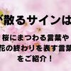 桜が散るサインは？桜にまつわる言葉や花の終わりの表現をご紹介！