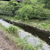 5月12日(火)秩父フライフィールドの河川情報