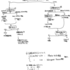 (特にHCI)研究における検定の手順