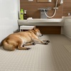 鰹のたたきでコロ助が不調に｜再びSHARPのマスク