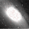 M31の新星