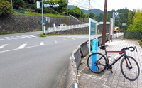 記事を見る