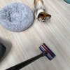 Dyson vs レンくん