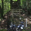桑の川の鳥居杉～汗見川清流ツーリング