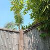 （火）少しだけ復讐