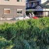 西尾走友会例会