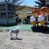 【犬連れ日帰りドライブ】【霧ヶ峰】【車山高原】【池のくるみ踊場湿原】長野県 諏訪市 茅野市