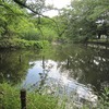 善福寺公園_下の池（東京都杉並区）