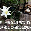 何とかなるように自分でしただけ
