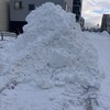 まつりじゃない雪