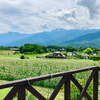 涼しくて夏休みにおすすめ！1歳7ヶ月と「長野 八ヶ岳＆山梨 清里」へ子連れ旅行