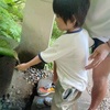 戸隠神社②神の声