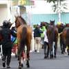 JRA「病気」のため、乗り替わりの真相。「暑熱対策」なんのその、アツい新潟で今後も危惧される事態が発生……