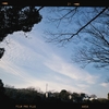 Photo No.2217 / 乗り切った