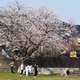 今年も撮りました「主計町・浅野川」