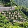 はしけ船員のライフヒストリー　―愛媛・岡村島から姫路・広畑へ―