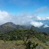 久し振りの山登りをティモールで。