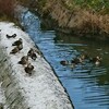 遠足気分で京都競馬