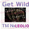 「Get Wild」35周年ということで、どれだけTM Network「Get Wild」の種類があるか調べてみた