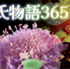 【源氏物語365 第13帖 明石27】明石入道が娘の琴の音をお聞き入れたいとの事に対して、源氏は、お嬢さんのを聞かせていただきたいと言う。