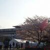 舎人公園千本桜まつりと舎人ライナー駅構内の桜ラッピング