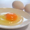 100年先に伝えたい日本の美味しい玉子料理