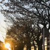 ウォーキングはおすすめです…ウォーキングをはじめてから病気に対しても前向きになりました！［パニック障害完治・改善］