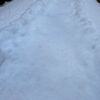 大学入学共通テストの日にはいつも札幌の積雪量が増えているような気がする