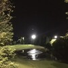 まだまだ・・・