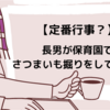 【定番行事？】長男が保育園でさつまいも堀りをしてきたよ。