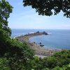 神奈川県・真鶴半島の"魚つき保安林"を見に行ってきた件