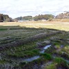 梅の花と地蔵菩薩