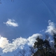 挨拶・明けましておめでとうございます。