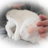 急ぎの予定がない土日の朝