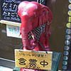 ムット再訪