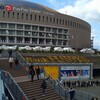 与田ちゃんの卒紺　in 福岡ドーム