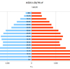 米国の人口ピラミッド　１９６５年～１９８０年