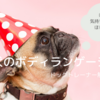 犬のボディランゲージクイズ｜どれだけ愛犬の気持ちを理解できてる？