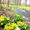 【北海道・中札内】六花亭が手がける『六花の森』｜GW北海道ドライブ②