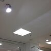 今日のツイート