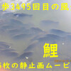 散歩3495回目の風景（35枚の静止画ムービー）