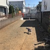 【飼い主あるある】奥の細道