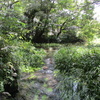 三島コロッケ礼賛